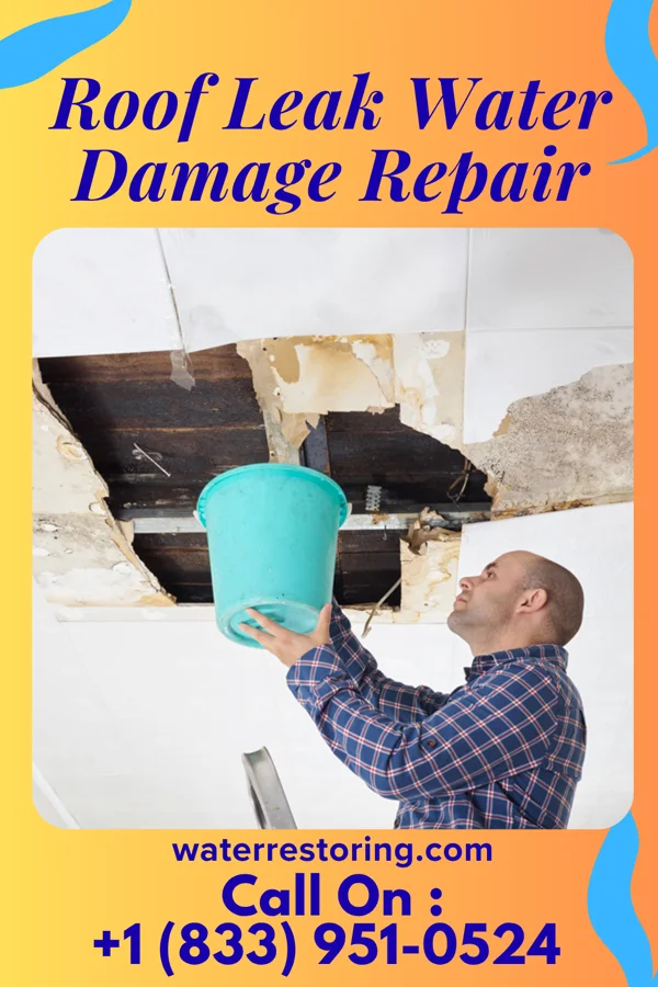 Roof Leak Water Damage Repair in York, ND