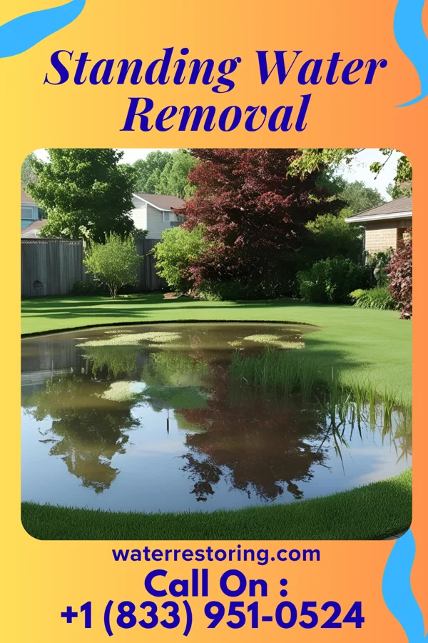 Standing Water Removal in York, ND